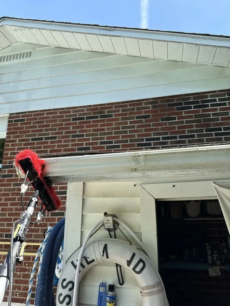 Gutter Cleaning