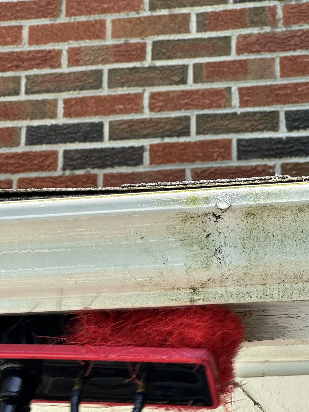 Gouttière nettoyée