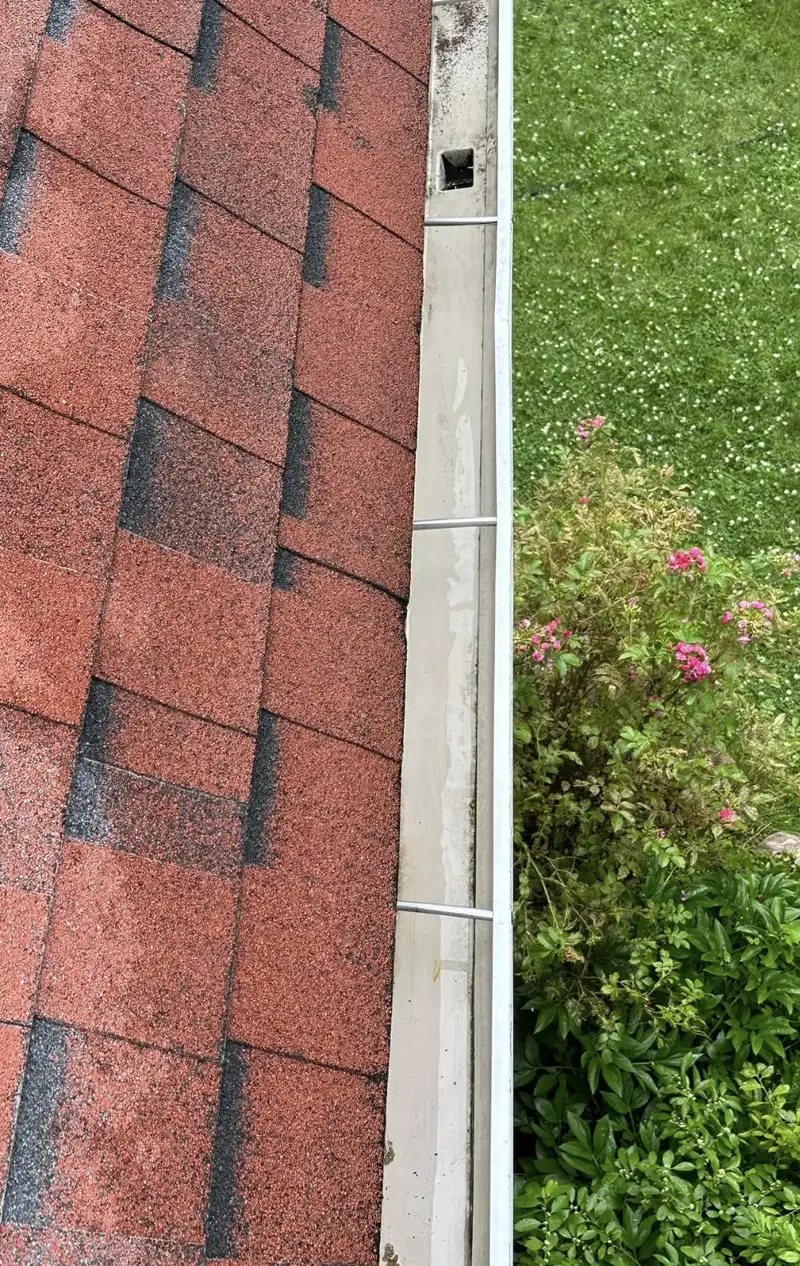 Clean gutter — after cleaning