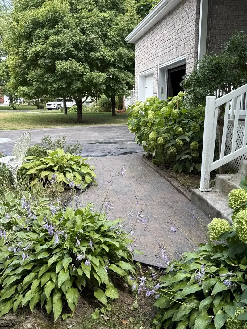 Allée de pavé rénovée