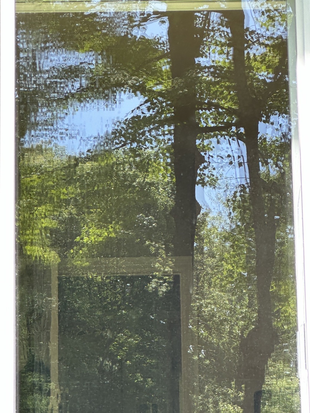 Fenêtre après lavage
